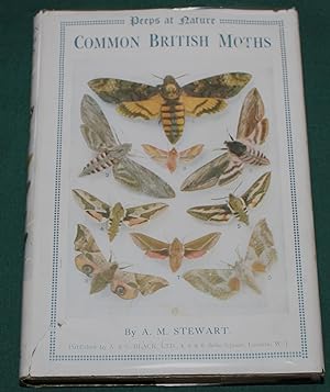 Common British Moths.