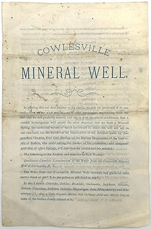 Cowlesville Mineral Well