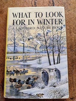 What to Look for in Winter