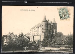 Carte postale Montbéliard, Le Château