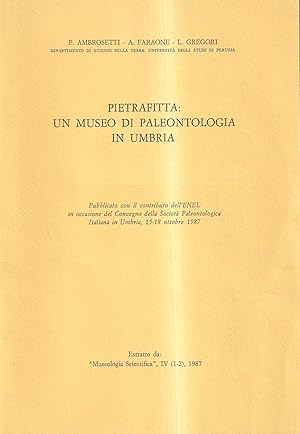 Pietrafitta: un museo di paleontologia in Umbria