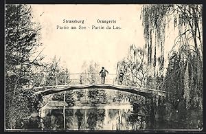 Carte postale Strassburg, Orangerie, vue de See