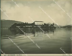 Piemonte, Verbania. ISOLA MADRE, Lago Maggiore. Fotografia originale, circa 1920