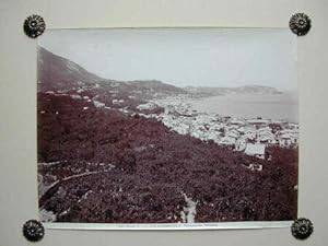 (Campania) CASAMICCIOLA. Panorama.