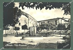 Campania. CENTOLA, Salerno. Cartolina d'epoca formato grande, viaggiata nel 1963.