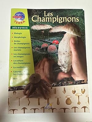 T11 - Les Champignons