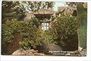 Carisbrooke King Charles' Prison Window Postcard
