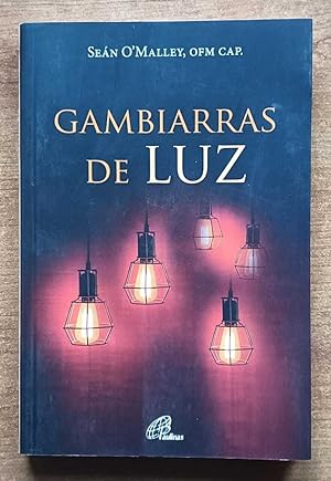 Gambiarras de Luz (Portuguese Edition)