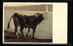 Ansichtskarte Pro Juventute, Schwarzfleck-Stier von Rudolf Koller