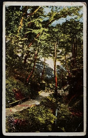 Shanklin Chines Isle Of Wight 1937 Postcard