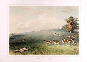 Antelope Shooting