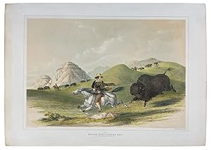 Buffalo Hunt, Chasing Back