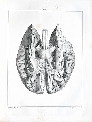 Traité complet de l'Anatomie, de la Physiologie et de la Pathologie du système nerveux cérébro-sp...