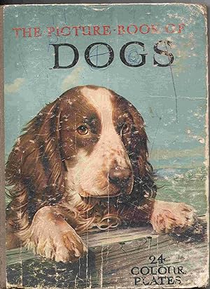 The Picture Book of Dogs