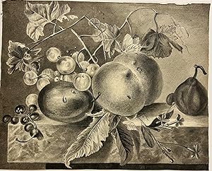 Antique drawing | Still life with fruit on a marble slab, ca. 1890, 1 p.