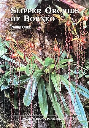 Slipper orchids of Borneo