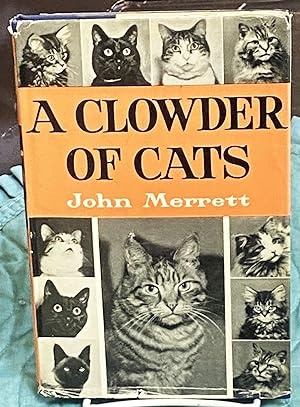 A Clowder of Cats