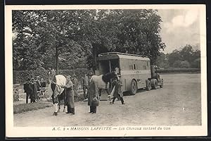 Carte postale Maisons-Laffitte, les Chevaux sortant du van