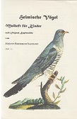 Heimische Vögel. Malheft für Kinder nach Originalen Kupfertafeln von Johann Friedrich Naumann (Te...