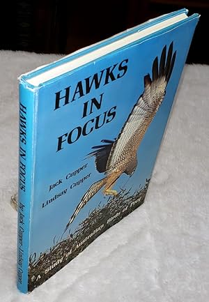 Hawks in Focus: A Study of Australia's Birds of Prey