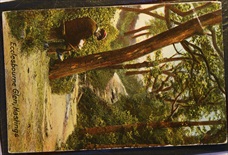 Ecclesbourne Glen Hastings Vintage Postcard