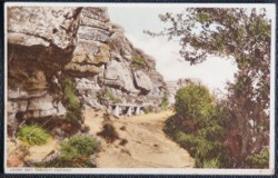 Fairlight Lovers Seat Hastings Postcard