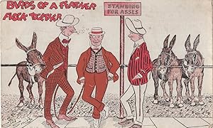 Rich Birds Of A Feather Flock Together Donkey Rides Old Comic Postcard