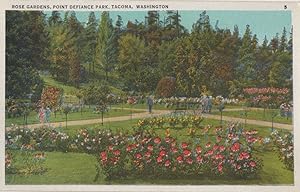 Washington Tacoma Point Defiance Park Rose Gardens USA Postcard