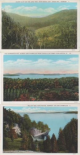 Vermont Silent Cliff On Long Trail Burlington Vermont USA 3x Postcard s