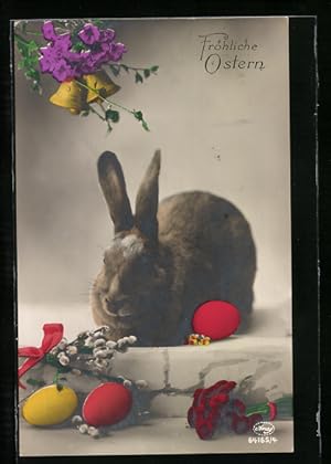 Ansichtskarte Osterhase mit bunten Ostereiern und Weidenkätzchen