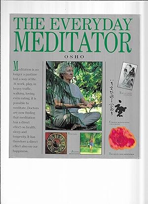 THE EVERYDAY MEDITATOR: A Practical Guide