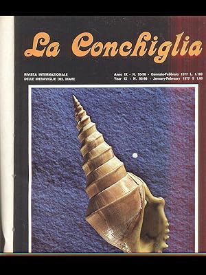La conchiglia - 1977/1978