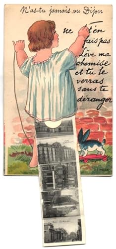 Leporello-Carte postale Dijon, Ansichten unterm Hemdchen, Lycee Carnot, Place d`Armes, Palais de ...