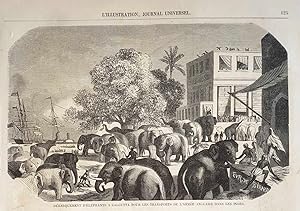 Gravure sur bois debarquement elephants a calcutta pour transports armee anglaise dans les indes