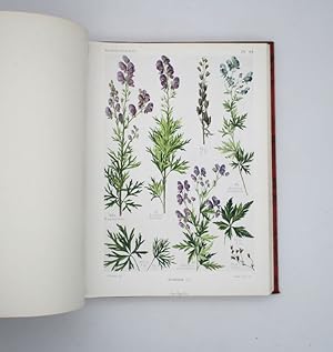 Flore complète illustrée en couleurs de France, Suisse et Belgique