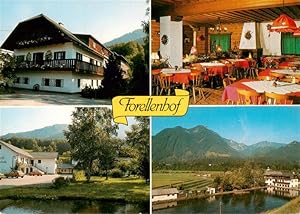 Postkarte Carte Postale 73954225 Gruenau Almtal Oberoesterreich AT Forellenhof Kinderurlaubsparad...