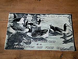 L'élevage des oies et la production des foies gras