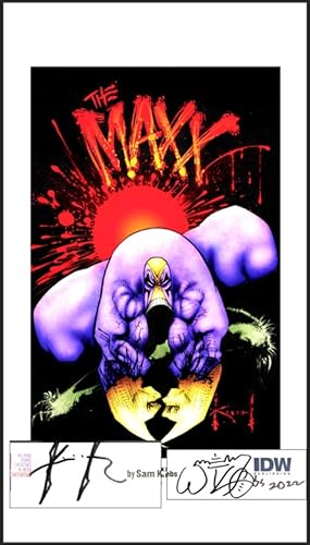 The Maxx #1