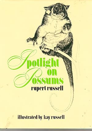 Spotlight on Possums