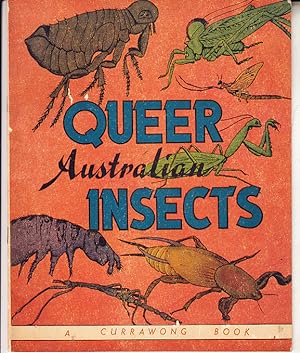 QUEER AUSTRALIAN INSECTS