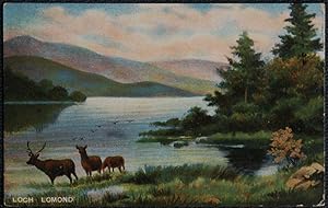 Loch Lomond Scotland Vintage Postcard