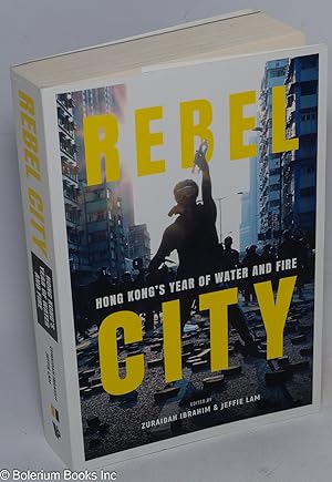 Rebel city: Hong Kong's year of water and fire