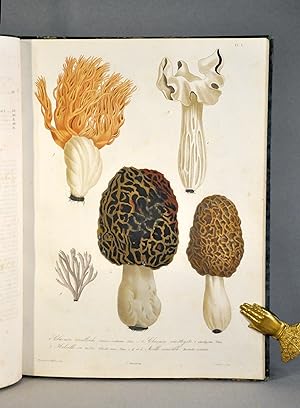 Histoire des champignons comestibles et vénéneux ; où l'on expose leurs caractères distinctifs, l...