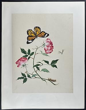 Dragonfly, Butterfly, Caterpillar, & Flower