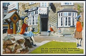 Llanberis Mellor's Guest House Vintage Postcard