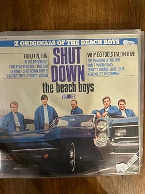 Shut Down Volume 2 [Vinyl LP]