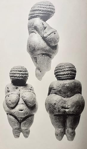 Les Statuettes féminines paléolithiques dites vénus stéatopyges.
