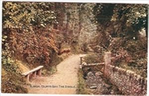 Colwyn Bay The Dingle 1927 Postcard