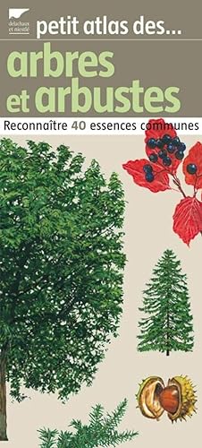 Petit atlas des arbres et arbustes: Reconnaître 40 essences communes