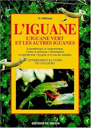L'iguane - Massimo Millefanti